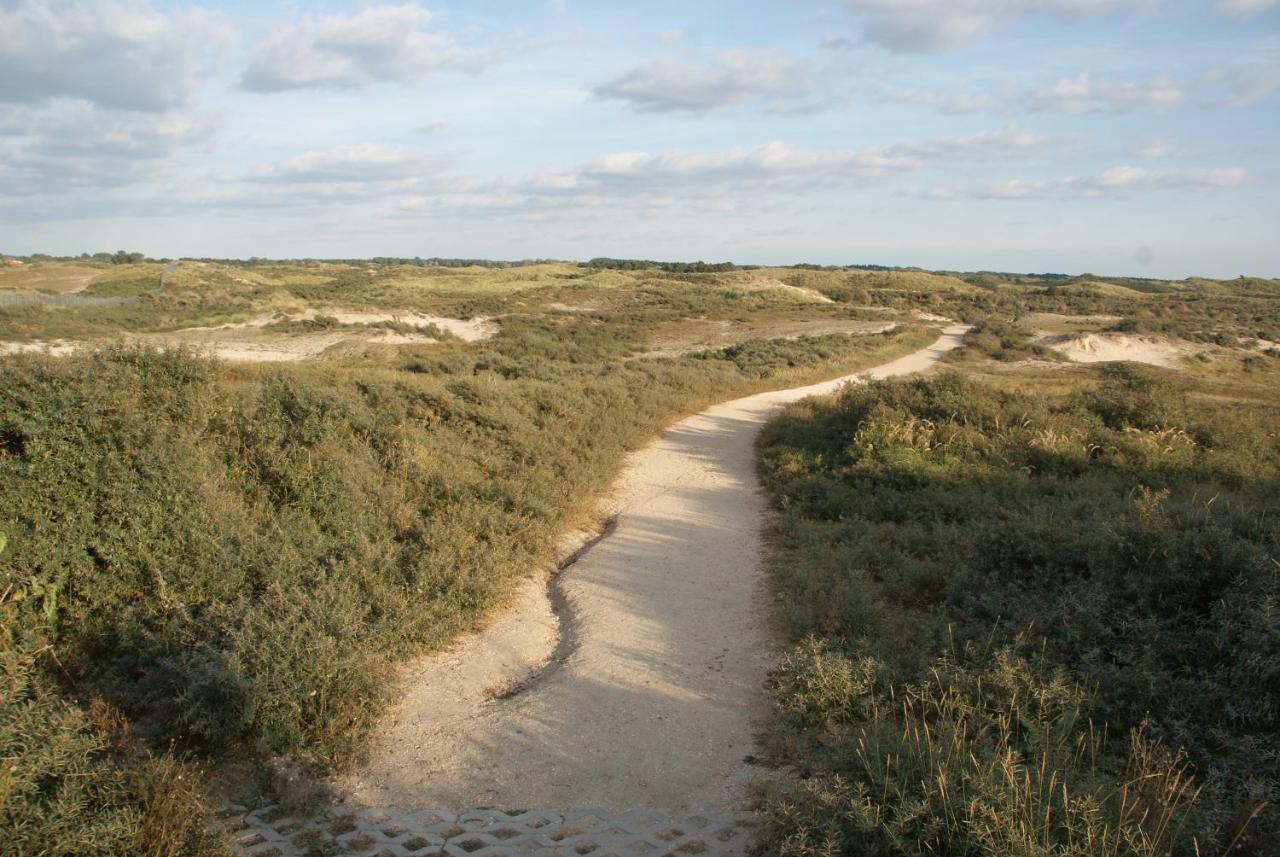 זנדוורט Huis Zeeduin Amsterdam Beach מראה חיצוני תמונה